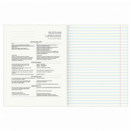 Тетрадь предметная DELIGHT 48 л., обложка картон, РУССКИЙ ЯЗЫК, линия, BRAUBERG, 404577