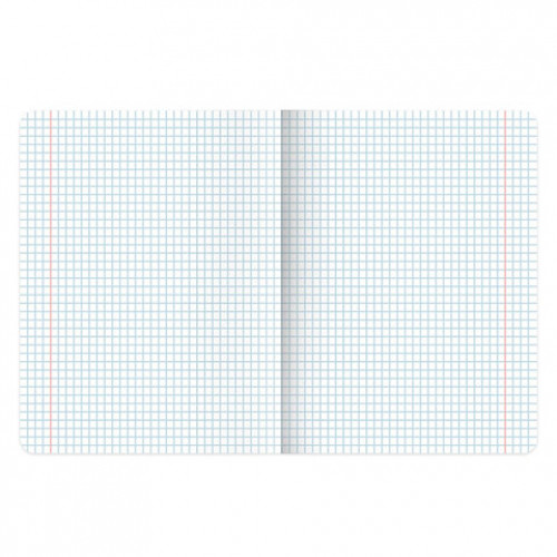 Тетради предметные, КОМПЛЕКТ 12 ПРЕДМЕТОВ, 48 л., глянцевый лак, BRAUBERG, ВЕЛИКИЕ ЛЮДИ, 405605