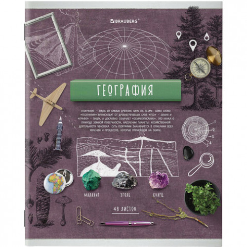 Тетради предметные, КОМПЛЕКТ 10 ПРЕДМЕТОВ, COLLAGE, 48 листов, TWIN лак, BRAUBERG, 404030
