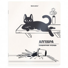 Тетрадь предметная КОТ-НЕПОСЕДА 48л, пластиковая обложка, АЛГЕБРА, клетка, подсказ, BRAUBERG, 405527