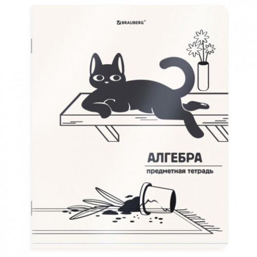 Тетрадь предметная КОТ-НЕПОСЕДА 48л, пластиковая обложка, АЛГЕБРА, клетка, подсказ, BRAUBERG, 405527