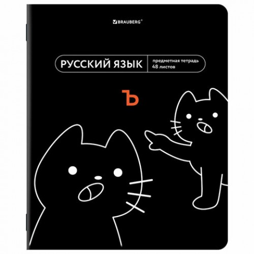 Тетради предметные, КОМПЛЕКТ 12 ПРЕДМЕТОВ, 48 л., TWIN лак, BRAUBERG МЕМЫ, 405172