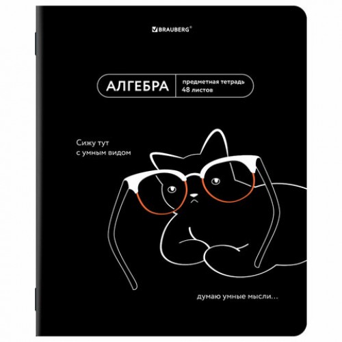 Тетради предметные, КОМПЛЕКТ 12 ПРЕДМЕТОВ, 48 л., TWIN лак, BRAUBERG МЕМЫ, 405172