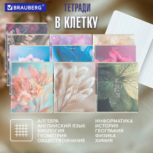 Тетради предметные, КОМПЛЕКТ 12 ПРЕДМЕТОВ 48 л., пластиковая обложка, BRAUBERG PURE NATURE, 405543