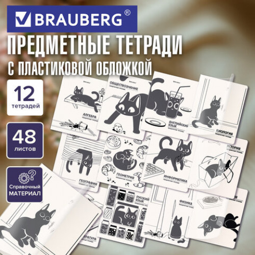 Тетради предметные, КОМПЛЕКТ 12 ПРЕДМЕТОВ 48 л., пластиковая обложка, BRAUBERG КОТ-НЕПОСЕДА, 405542