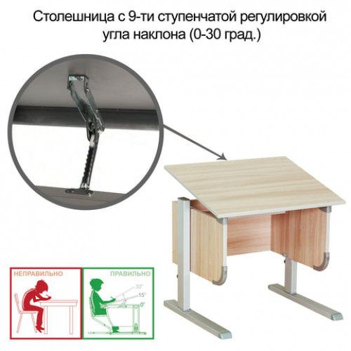 Стол-парта регулируемый ДЭМИ СУТ.28, 900х530х530-815 мм, серый/ясень (КОМПЛЕКТ)