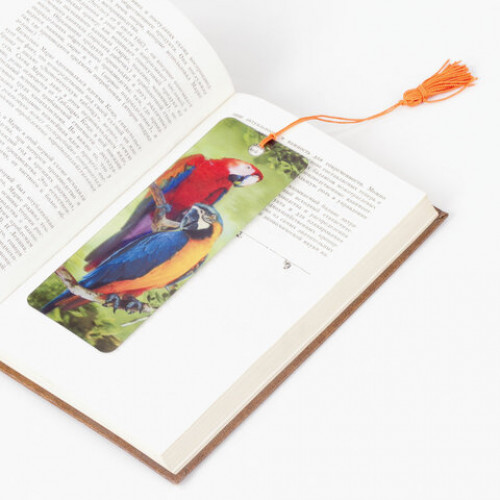 Закладка для книг 3D, BRAUBERG, объемная, Попугаи, с декоративным шнурком-завязкой, 125772