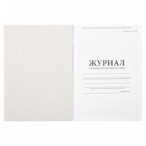 Журнал группы продлённого дня, 48 л., А4 200х290 мм, картон, офсет, STAFF, 130244