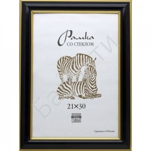 Фоторамка Пластик 608 (3963) 21х30