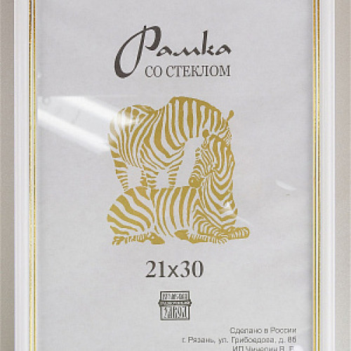 Фоторамка Пластик 100 (1310) 13х18 (50)