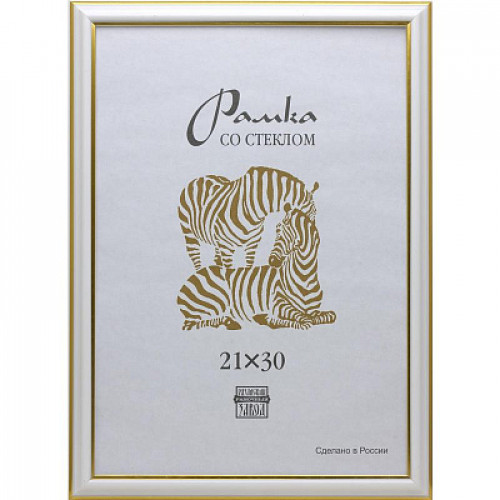 Фоторамка Пластик 300 (3915) 45х45