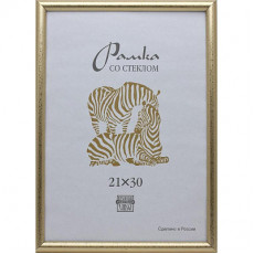 Фоторамка Пластик 509 (3872) 21х30