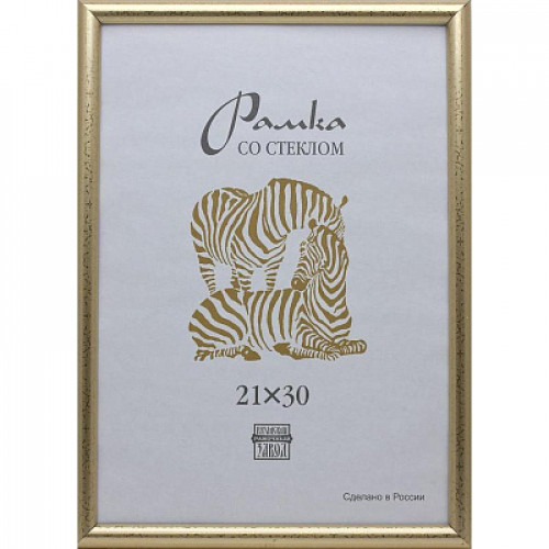 Фоторамка Пластик 509 (3872) 21х30