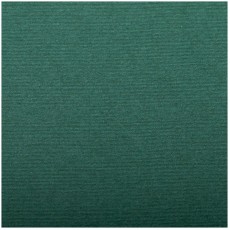 Бумага для пастели, 25л., 500*650мм Clairefontaine Ingres, 130г/м2, верже, хлопок, темно-зеленый