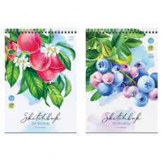 Скетчбук 60л., А6 ArtSpace Fruit Collection, на гребне, 120г/м2