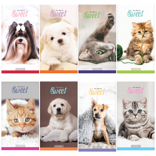 Блокнот А6 24л. на скрепке ArtSpace Домашние любимцы. Микс