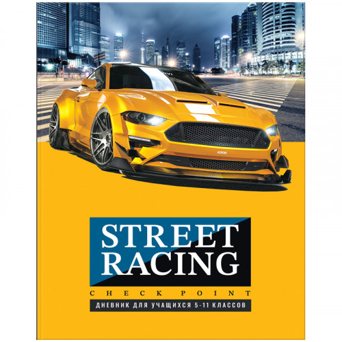 Дневник 5-11 кл. 48л. ЛАЙТ BG Street racing, глянцевая ламинация