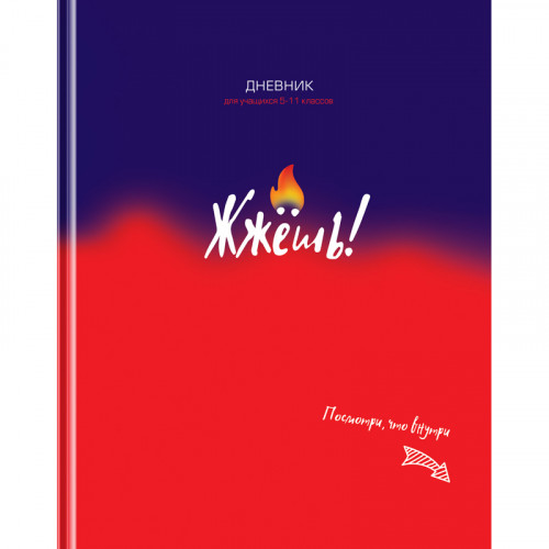 Дневник 5-11 кл. 48л. (твердый) BG Жжешь!, матовая ламинация