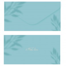 Конверт для денег MESHU Aquamarine, 85*164мм, soft-touchh, фольга