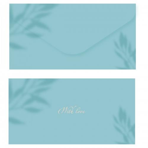 Конверт для денег MESHU Aquamarine, 85*164мм, soft-touchh, фольга