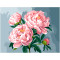 Картина по номерам на холсте ТРИ СОВЫ Цветущие пионы, 30*40, с акриловыми красками и кистями Картина по номерам на холсте ТРИ СОВЫ Цветущие пионы, 30*40, с акриловыми красками и кистями