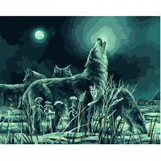 Картина по номерам на холсте ТРИ СОВЫ Ночная охота, 40*50, с акриловыми красками и кистями
