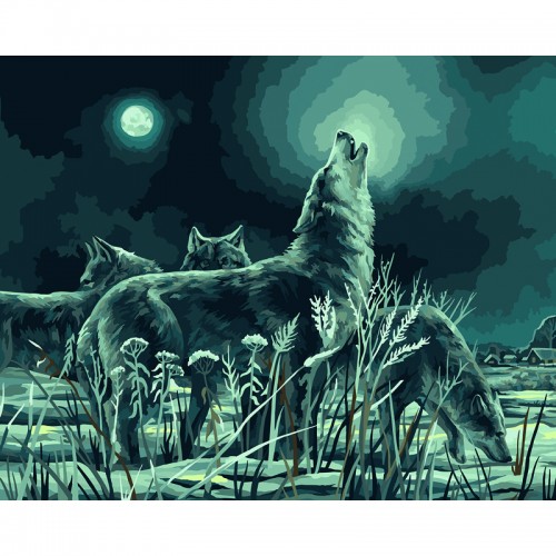 Картина по номерам на холсте ТРИ СОВЫ Ночная охота, 40*50, с акриловыми красками и кистями
