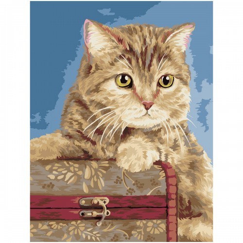 Картина по номерам на холсте ТРИ СОВЫ Кошка, 40*50, с акриловыми красками и кистями