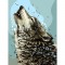 Картина по номерам на холсте ТРИ СОВЫ Полнолуние, 30*40, с акриловыми красками и кистями