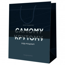 Пакет подарочный 26*32*12см MESHU Самому крутому, ламинированный