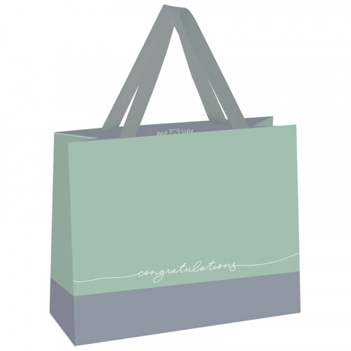 Пакет подарочный 23*18*10см MESHU Duotone. Gray-mint, отд. фольгой, матовая ламинация