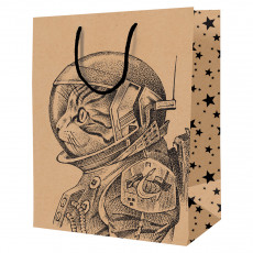 Пакет подарочный 26*32*12см ArtSpace Space Cat, крафт