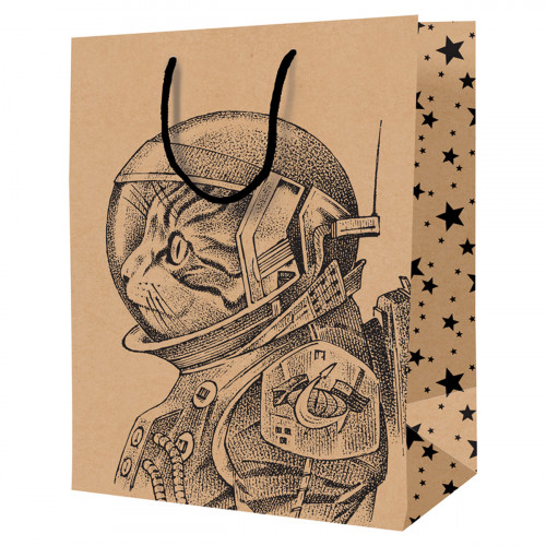 Пакет подарочный 26*32*12см ArtSpace Space Cat, крафт