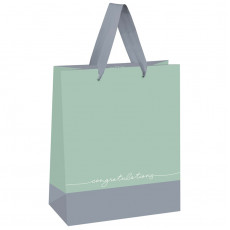 Пакет подарочный 18*23*10см MESHU Duotone. Gray-mint, отд. фольгой, матовая ламинация Пакет подарочный 18*23*10см MESHU Duotone. Gray-mint, отд. фольгой, матовая ламинация