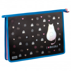 Папка для тетрадей 1 отделение, А4, ArtSpace AvoCato, 325*230*55мм, ламинированный картон, фольга, на молнии Папка для тетрадей 1 отделение, А4, ArtSpace AvoCato, 325*230*55мм, ламинированный картон, фольга, на молнии