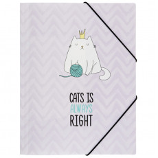 Папка на резинке MESHU Right cat А4, 500мкм Папка на резинке MESHU Right cat А4, 500мкм