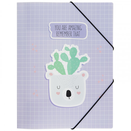 Папка на резинке MESHU SucCutElent А4, 500мкм