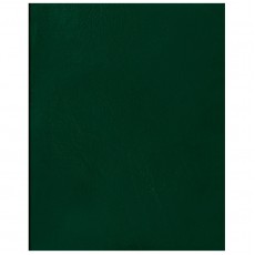 Тетрадь 96л., А4 клетка BG, бумвинил, зеленый, суперэконом