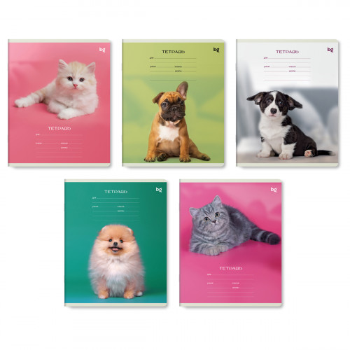 Тетрадь 12л., линия BG Little animal