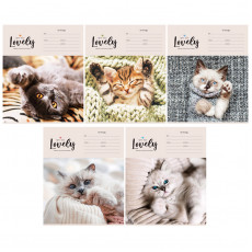 Тетрадь 12л., клетка ArtSpace Питомцы. Lovely Cat, эконом Тетрадь 12л., клетка ArtSpace Питомцы. Lovely Cat, эконом