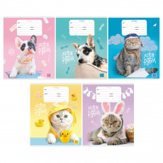 Тетрадь 12л., клетка BG Кошечки-собачки