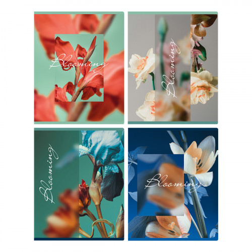 Тетрадь 48л., А5, клетка BG Blooming, матовая ламинация