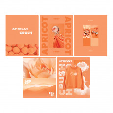 Тетрадь 48л., А5, клетка BG Apricot, матовая ламинация