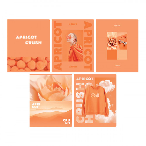 Тетрадь 48л., А5, клетка BG Apricot, матовая ламинация