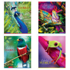 Тетрадь 48л., А5, клетка ArtSpace Животные. Colorful world, суперэконом
