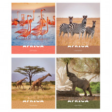 Тетрадь 96л., А5, клетка ArtSpace Животные. Nature of Africa, суперэконом