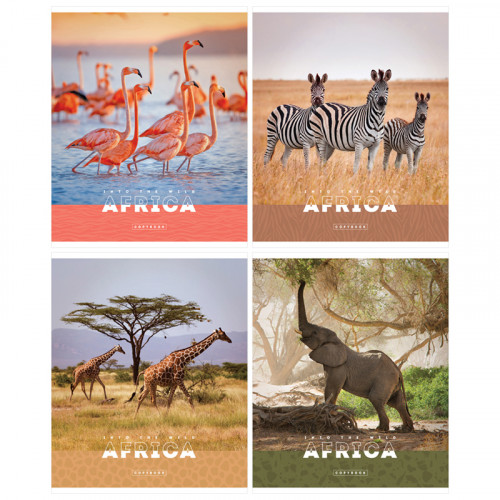 Тетрадь 96л., А5, клетка ArtSpace Животные. Nature of Africa, суперэконом