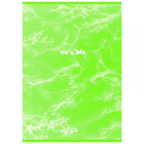 Тетрадь 80л., А4, клетка BG Invisible, матовая ламинация