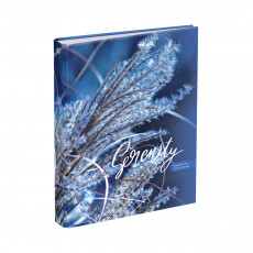 Тетрадь на кольцах А5, 120л., BG Blue serenity, глянцевая ламинация