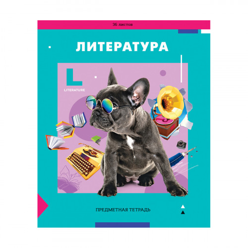 Тетрадь предметная 36л. ArtSpace Пять в квадрате - Литература, эконом